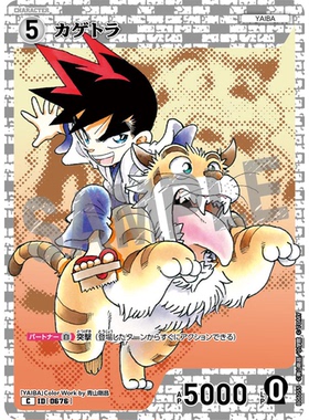 蓝海DCCG名侦探柯南卡牌游戏B06055白C角色0676影虎铁刃铁剑YAIBA