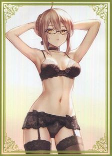 【蓝海卡牌】Fate FGO 谜之女主角X Alter 黑X毛 C95会场限定卡套