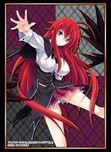 恶魔高校DXD  BorN HighSchool DxD莉亚丝莉雅丝吉蒙里部长卡套