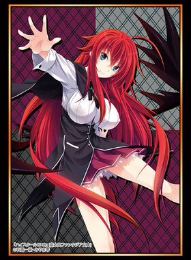 恶魔高校DXD  BorN HighSchool DxD莉亚丝莉雅丝吉蒙里部长卡套