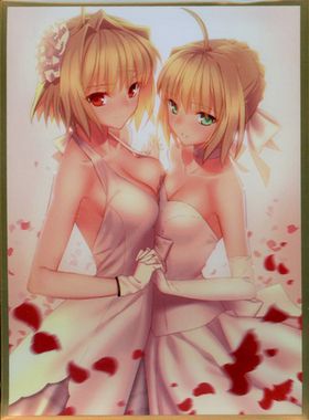 【蓝海卡牌】FATE FGO呆毛王尼禄Saber公主C92限定卡套现货