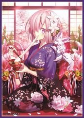 【蓝海卡牌】Fate FGO盾娘玛修·基列莱特C91限定会场卡套现货