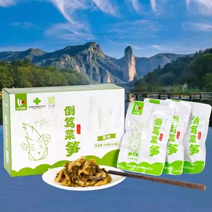 缙云特产山川绿野雪菜笋倒笃菜笋咸菜下饭菜酸菜即食笋丝酱菜