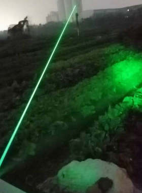 1Ｗ绿光小驱鸟器大功率激光手电