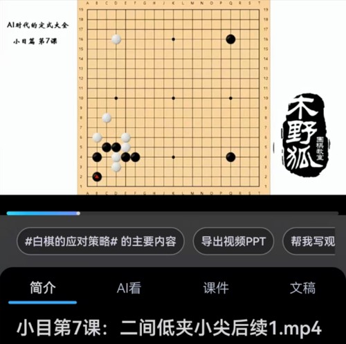 AI时代的围棋定式大全视频课木野狐出品定式详解和应用场合分析