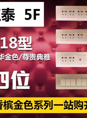 正泰118型墙壁开关插座 四位大号香槟金色NEW5F四插20孔4开5开8开