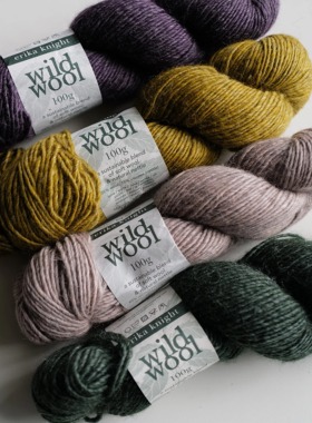 英国 Erika Knight Wild Wool 荨麻羊毛线100g 阿兰粗度