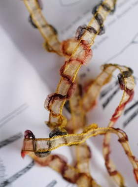 318cm长7mm宽德国JIM尼龙材质黑蓝棕红黄等波浪围绕黄色透明织带