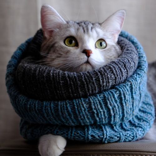 罗纹领圈DIY编织材料包