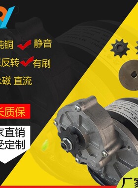 24V12V250W长轴电机减速有刷电机皮带轮电机1016Z2直流永磁羚鹰