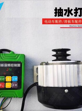 抽水机电机带遥控皮带轮无刷直流永磁水泵48V60V500W打药机12V24v