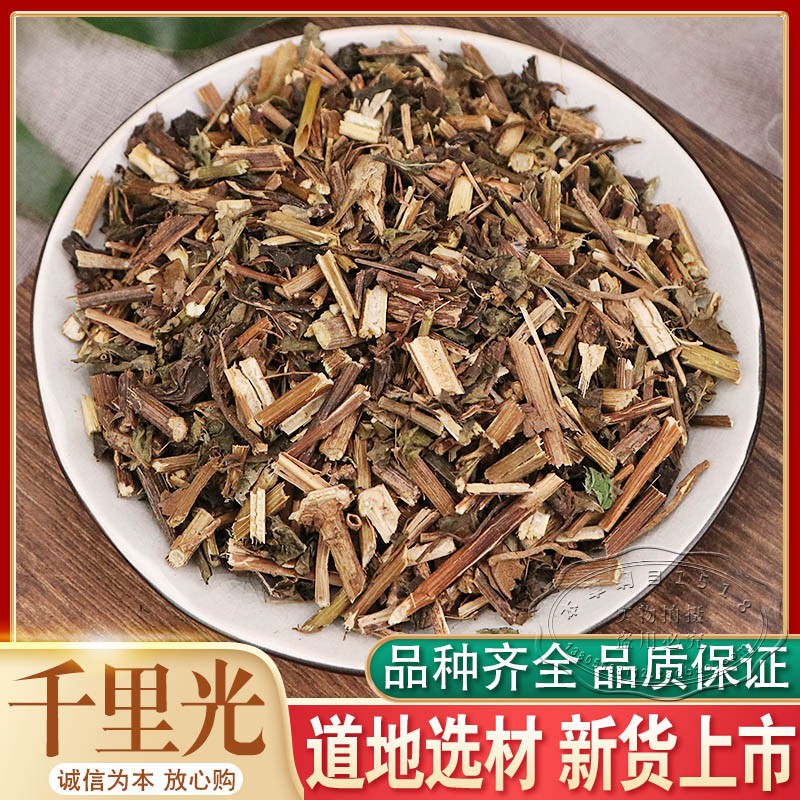 千里光500克包邮 中草药 野生九里光 黄花母 九里明 中药材