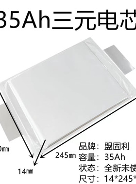 三元锂电池大容量120A35A40A实标电动电瓶动力聚合物电池25A-68Ah