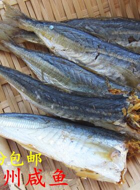 熟鱼咸鱼梅州客家巴浪鱼农特产品