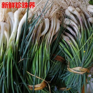 梅州 客家 新鲜 荞头 藠头 带叶 农家 兴宁五华蕉岭大埔平远 1斤