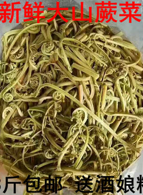 新鲜蕨菜厥菜梅州客家大山拳头