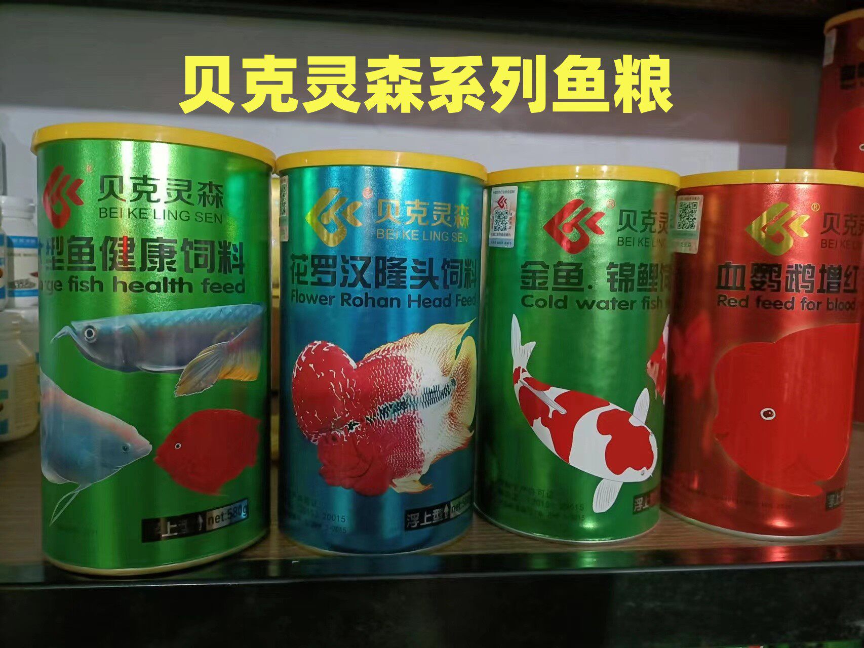 贝克灵森大型鱼罗汉金鱼锦鲤
