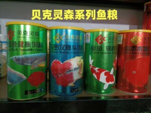贝克灵森大型鱼罗汉金鱼锦鲤