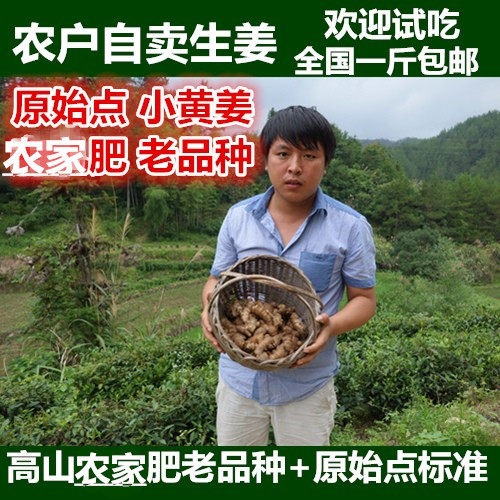 大别山 生姜 小黄姜 新鲜生姜 原始点老姜 小土姜 月子姜 姜 包邮