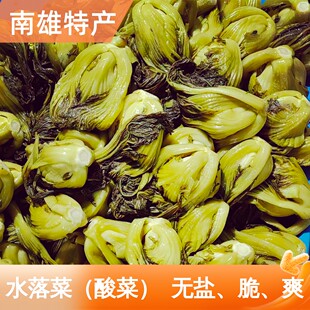 南雄特产酸菜粤北韶关水农家自制水捞菜水落菜芥菜整颗无盐腌制