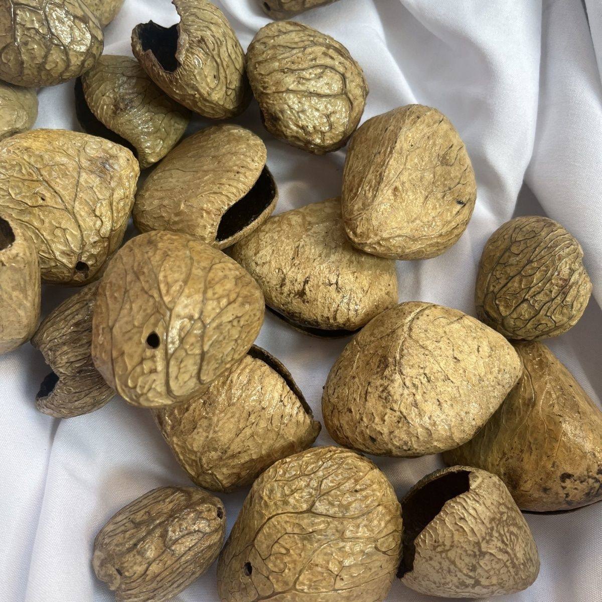 印尼果壳黑果Panji 果壳风铃果壳手工DIY果壳手工编织