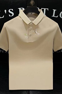 2025夏季 男士青年修身高端设计感短袖POLO衫T恤男A431-PL077-P55图片