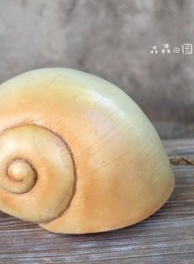 彩绘贝壳地中海风儿童房装饰摆件