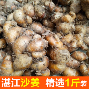 正宗沙姜新鲜湛江新鲜沙姜鸡料湛江吴川高州化州茂名特产砂姜 包邮