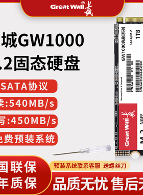 M2接口SATA协议固态硬盘高速1TSSD台式机笔记本电脑GW1000