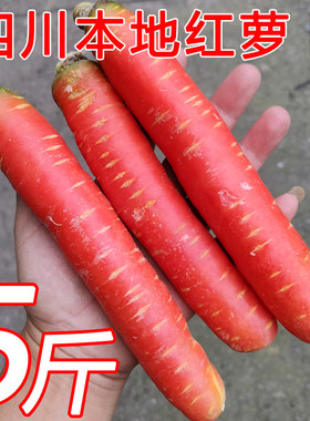 水果脆甜新鲜红萝卜坏了包赔