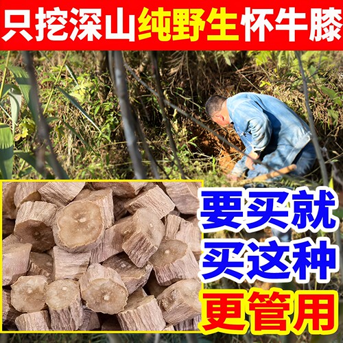 野生牛膝中药材正品特级正宗深山天然无硫新货怀牛膝川芎杜仲牛膝