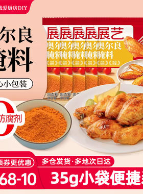 展艺35g*5鸡腿家用新奥尔良腌料