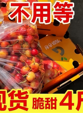 现货智利进口雷尼尔黄金车厘子新鲜水果4JJJJ黄色大樱桃2斤礼盒