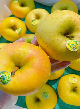 现货日本青森王林水蜜桃苹果大果新鲜6/12只雀斑顺丰Toki季节限定