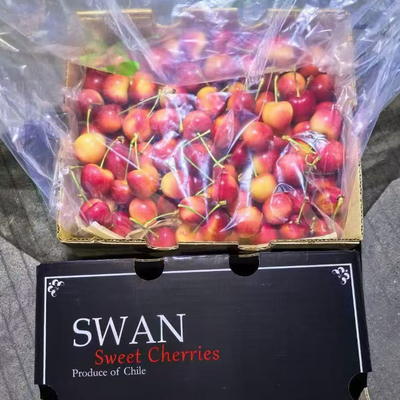 斯凯拉雷4J级脆甜车厘子4斤