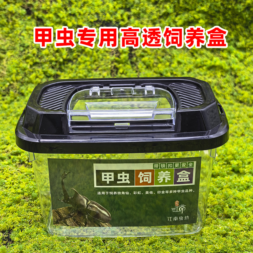 独角仙饲养盒甲虫成虫活体爬宠盒锹甲爬虫箱昆虫饲养箱套餐