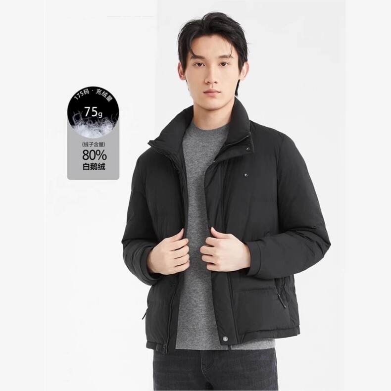 24DRF9391S利家冬季时尚舒适保暖商务通勤修身立领百搭羽绒服男装