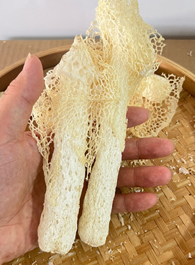 武夷山特产2026新货竹荪干货山珍菌菇煲汤农家无硫肉厚竹笙100g