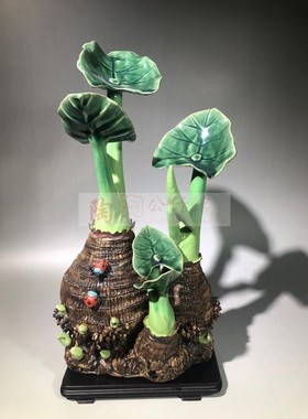 客厅酒柜摆件芋头生机勃勃