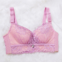 Fixation pour soutien-gorge - Ref 823551 Image 6