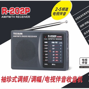 202P收音机迷你便携四六级考试老年人学生校园广播 Tecsun 德生