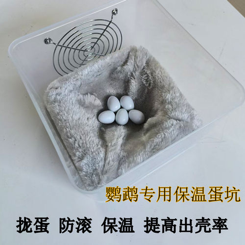 繁殖箱防滑蛋坑保温保暖孵化神器