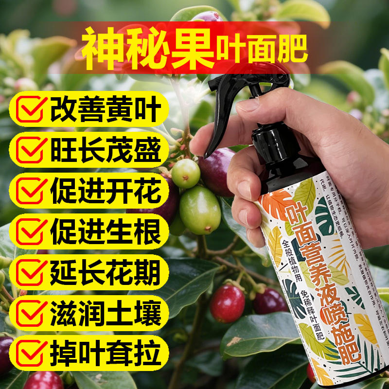 神秘果专用肥料盆栽营养液果树促进开花保花结果挫果增产增收肥料