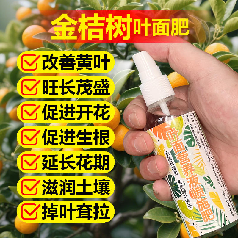 金桔树专用肥料庭院盆栽地栽盆景种植果树苗营养液颗粒水溶化肥料