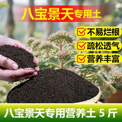 八宝景天专用土料盆栽花苗蝎子草三七多肉植物土壤营养土种植家用