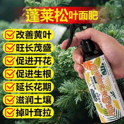 蓬莱松专用肥料养殖盆景盆栽土壤复合养护营养液叶面肥水溶化肥料