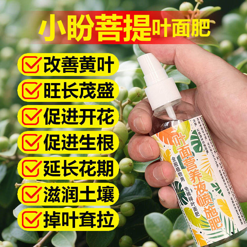 菩提树专用肥料盆栽专用土花苗营养液开花长花苞发芽长新叶面肥料,鲜花速递/花卉仿真/绿植园艺,家庭园艺肥料,淘宝优惠券,粉丝福利购,淘宝优惠卷