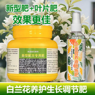 白兰花专用肥料叶子发黄锈斑黑斑病尖叶发黑焦尖促开花营养液肥料
