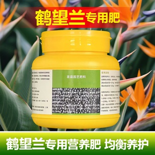 鹤望兰专用肥料盆栽植物营养液挺拔立直长新叶开花天堂鸟绿植肥料