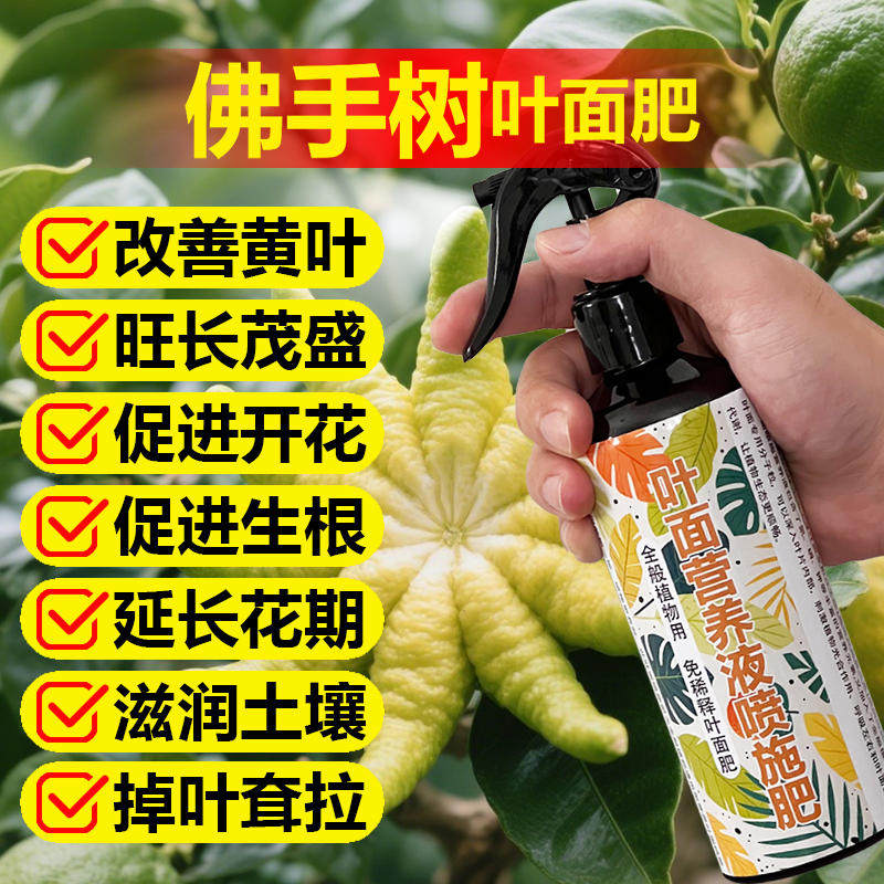 佛手专用肥料盆栽佛手树苗专用土营养液叶面肥叶面肥肥水溶化肥料